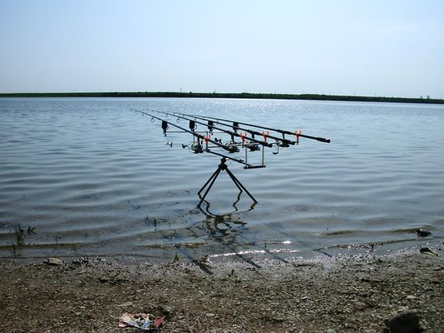 Doar ... NATURA - 4 - gedc0331.JPG